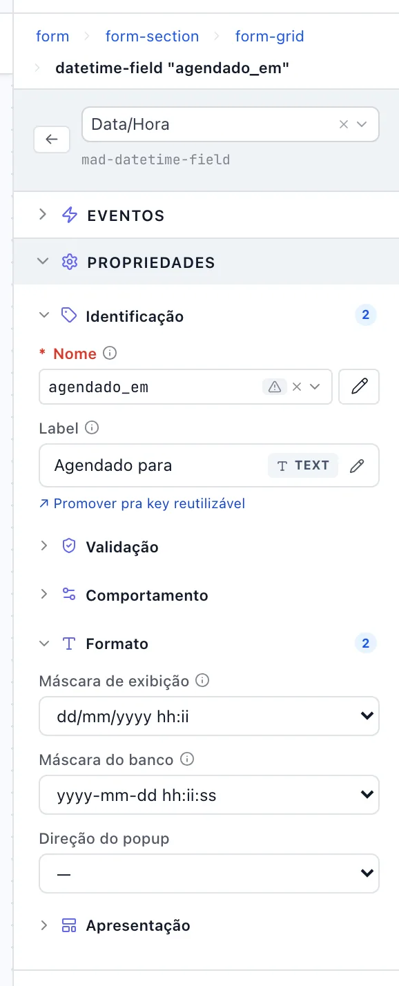 Painel de um campo Data e Hora com Identificação e Formato abertos