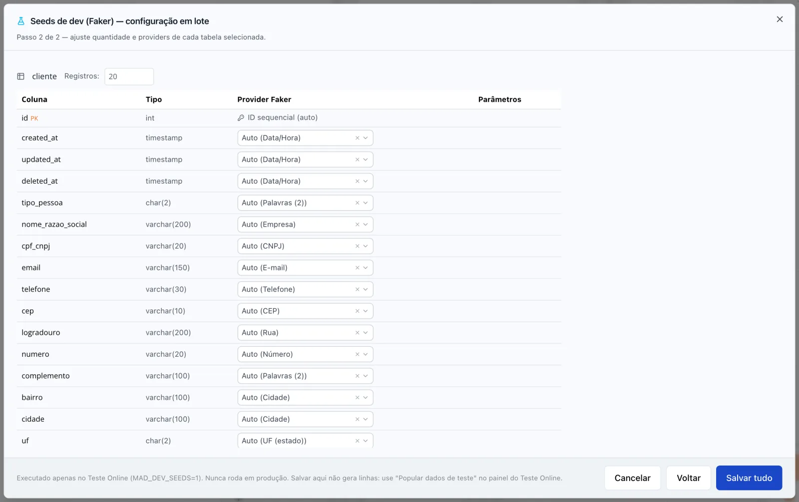 Passo 2 de 2 do assistente Seeds de dev (Faker), mostrando Registros e a coluna Provider Faker de uma tabela